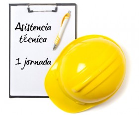 Asistencia técnica – una jornada
