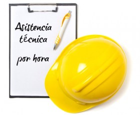 Asistencia técnica – por hora